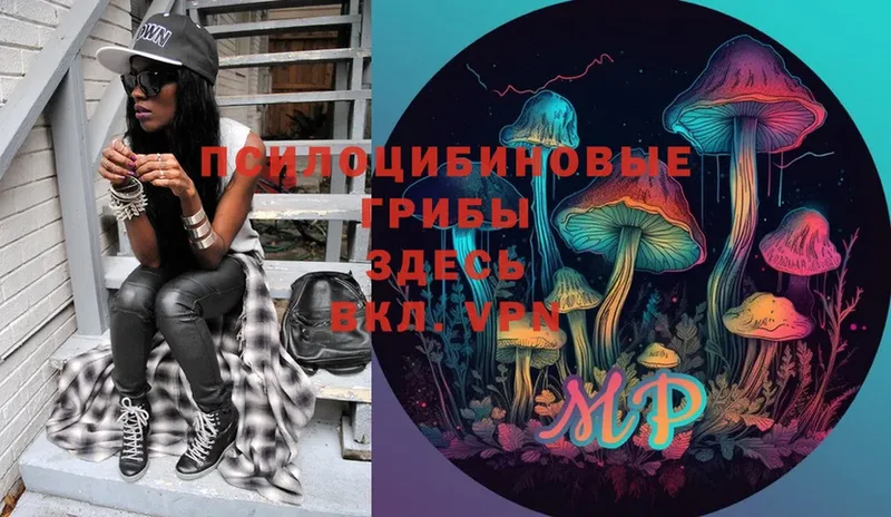 Псилоцибиновые грибы MAGIC MUSHROOMS  где найти   Крымск 